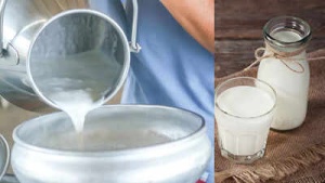 Raw Milk Danger: Bacterial Risks, Foodborne Illnesses, and Vulnerable Groups Face Heightened Threat