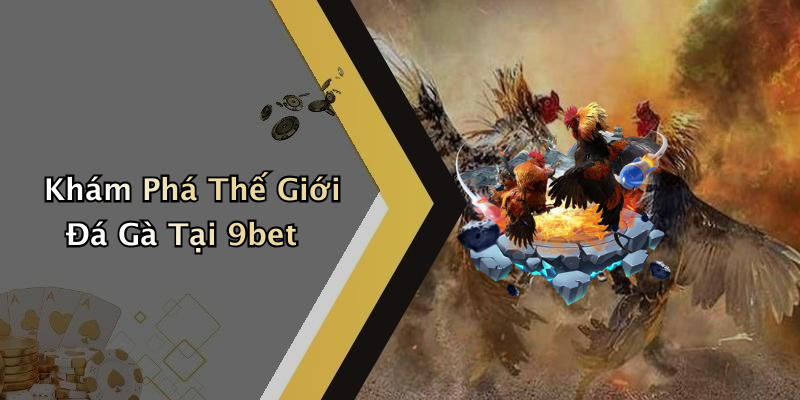 Khám Phá Thế Giới Đá Gà Tại 9bet