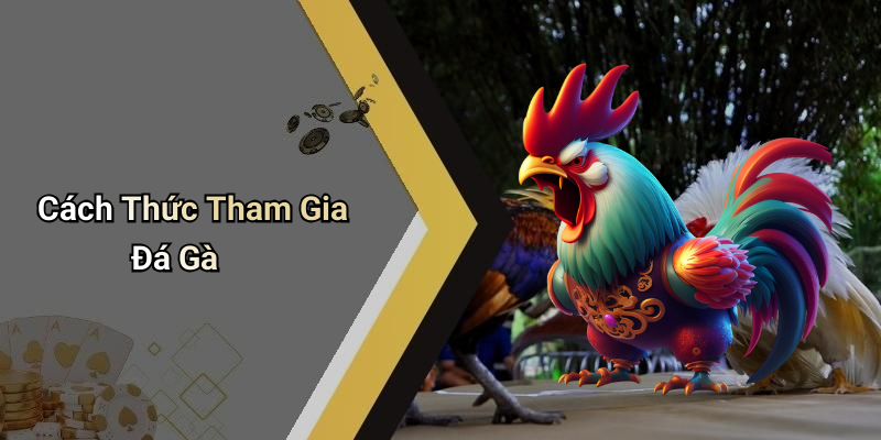 Cách Thức Tham Gia Đá Gà