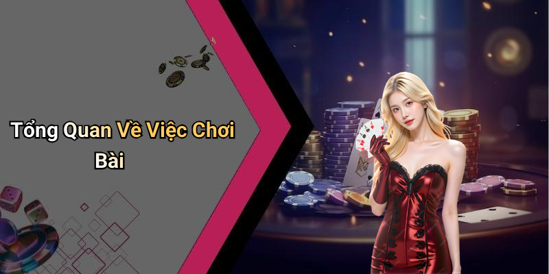Tổng Quan Về Việc Chơi Bài