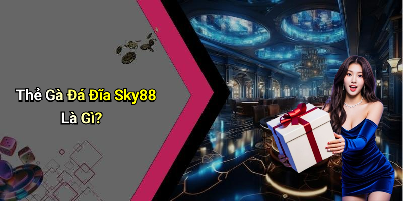 Thẻ Gà Đá Đĩa Sky88 Là Gì?
