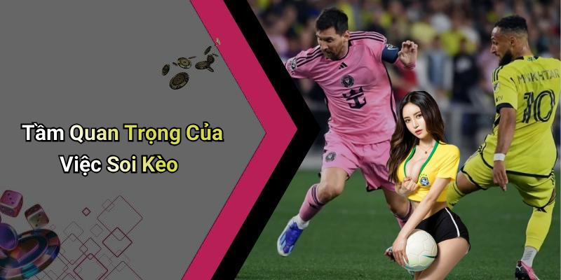 Tầm Quan Trọng Của Việc Soi Kèo
