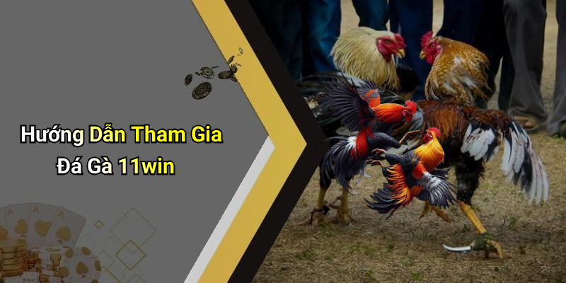 Hướng Dẫn Tham Gia Đá Gà 11win