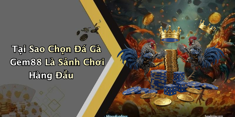 Tại Sao Chọn Đá Gà Gem88 Là Sảnh Chơi Hàng Đầu