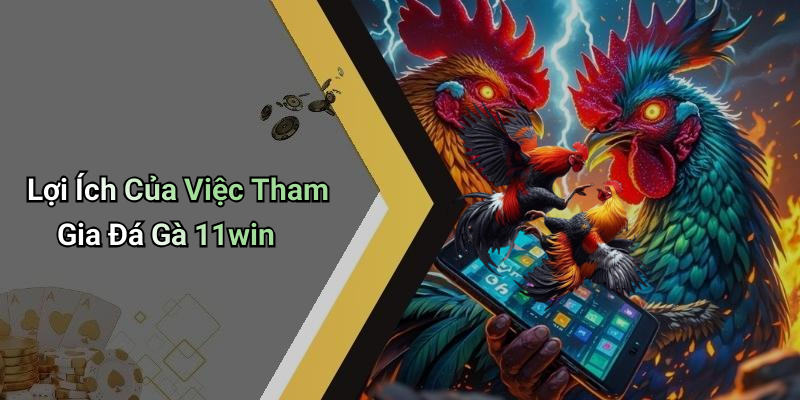 Lợi Ích Của Việc Tham Gia Đá Gà 11win