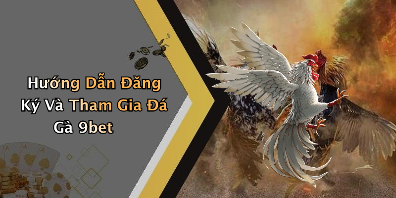 Hướng Dẫn Đăng Ký Và Tham Gia Đá Gà 9bet