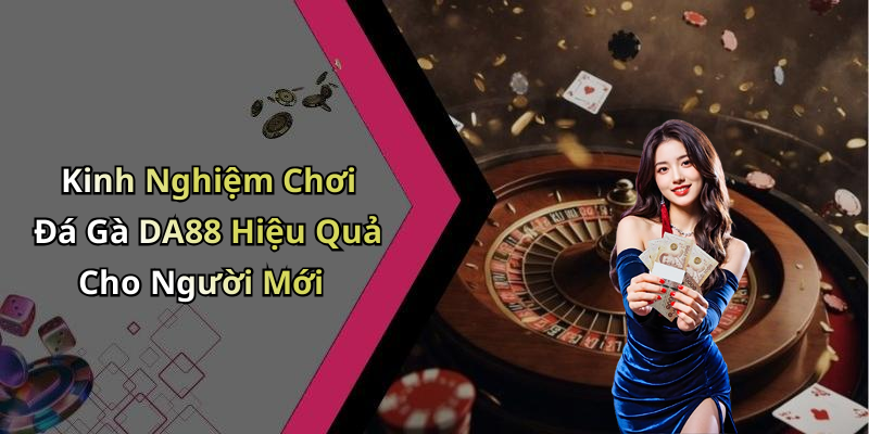 Kinh Nghiệm Chơi Đá Gà DA88 Hiệu Quả Cho Người Mới