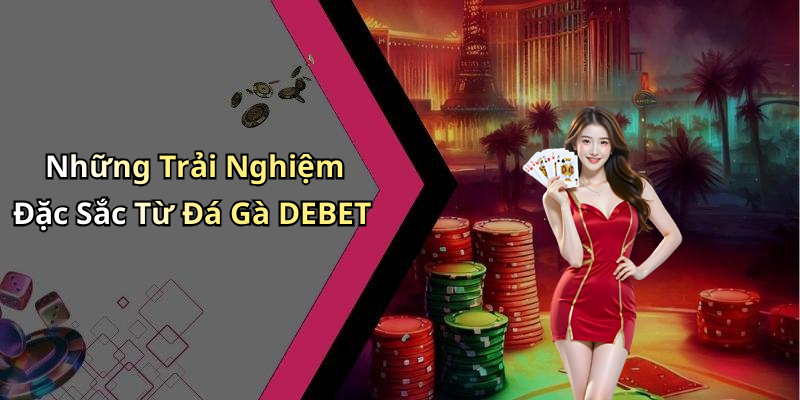 Những Trải Nghiệm Đặc Sắc Từ Đá Gà DEBET