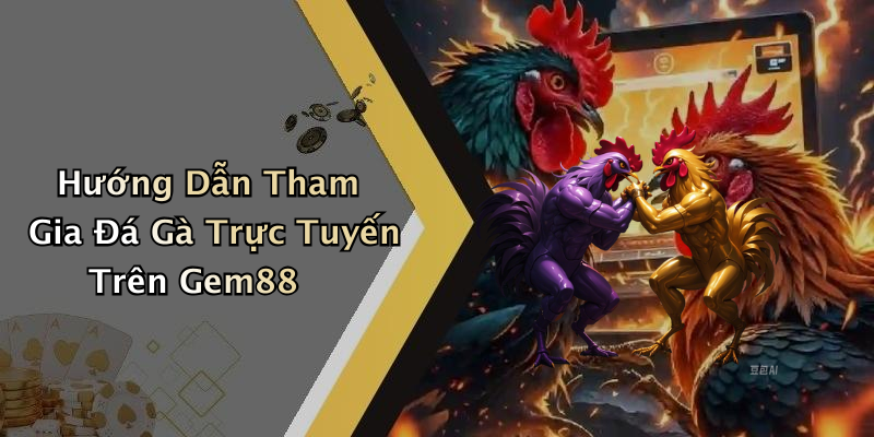 Hướng Dẫn Tham Gia Đá Gà Trực Tuyến Trên Gem88