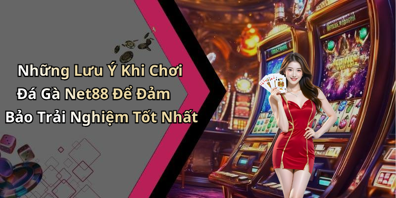 Những Lưu Ý Khi Chơi Đá Gà Net88 Để Đảm Bảo Trải Nghiệm Tốt Nhất