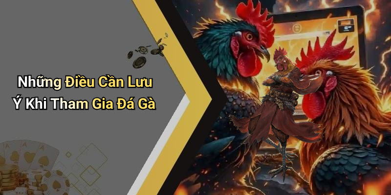 Những Điều Cần Lưu Ý Khi Tham Gia Đá Gà