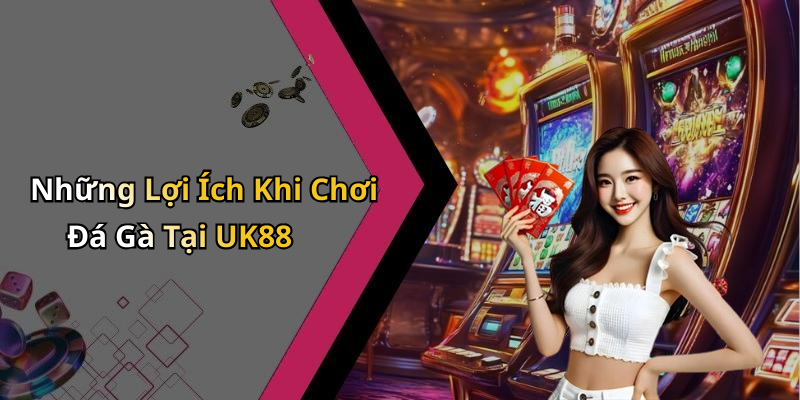 Những Lợi Ích Khi Chơi Đá Gà Tại UK88